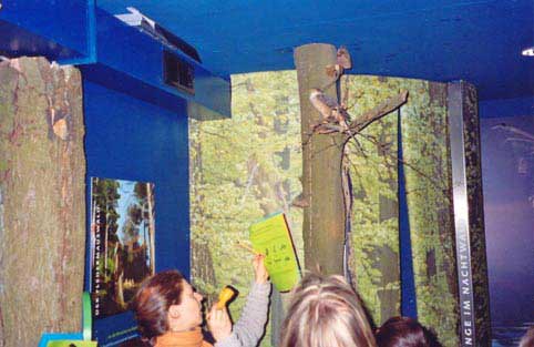 Trave-16.jpg (25604 Byte)